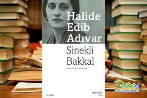 Sinekli Bakkal Özeti – Halide Edip Adıvar - Türk Dili Ve Edebiyatı